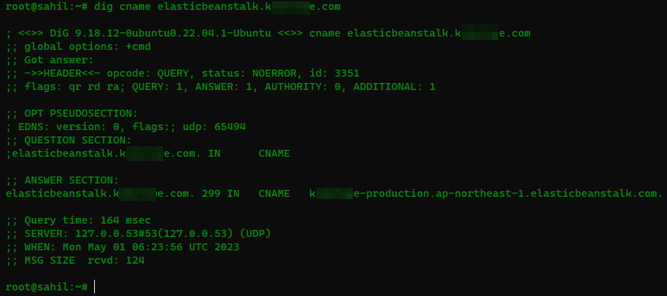 Digging the CNAME record